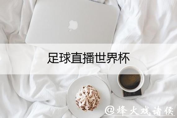 畅享高清世界杯直播，推荐优质平台